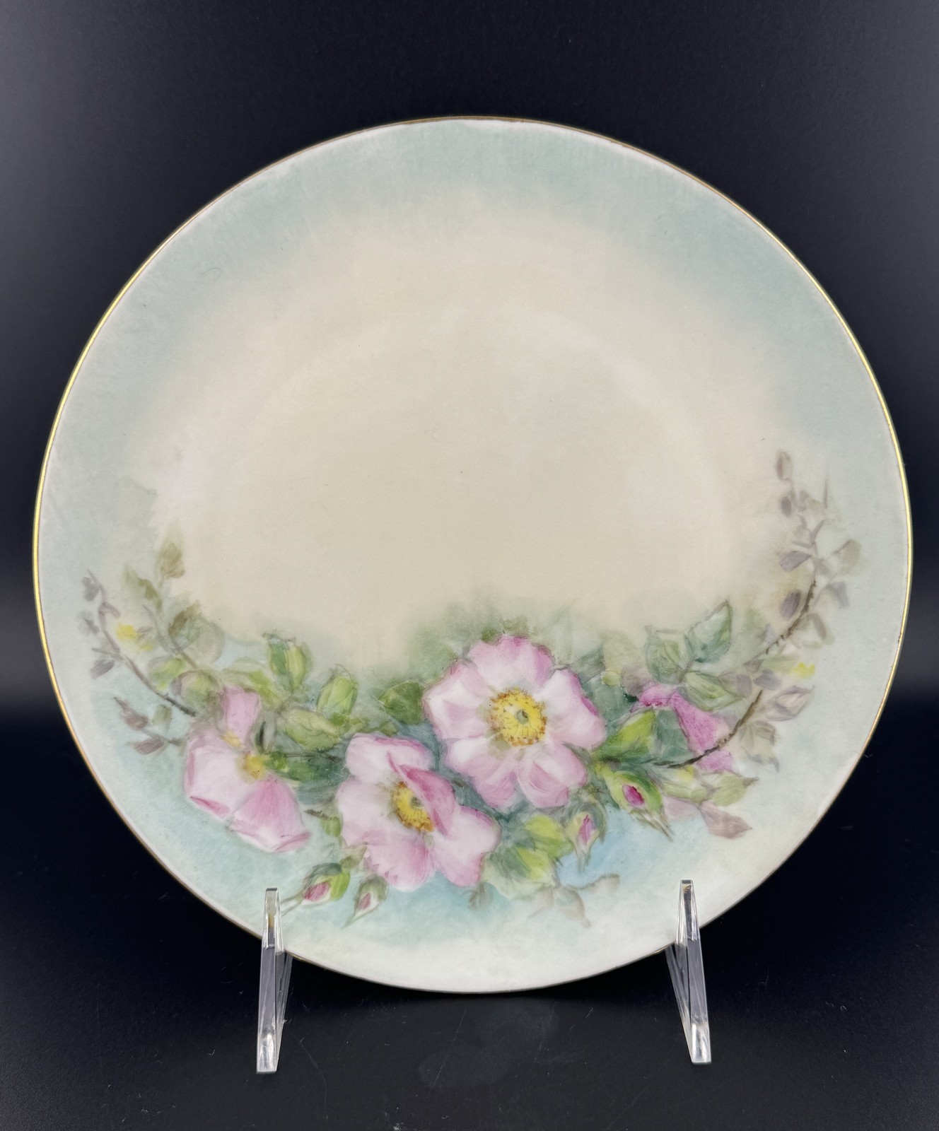 Antique Z.S. & Co Bavaria Hand Painted Plate Pink Wild Roses Gold Rim