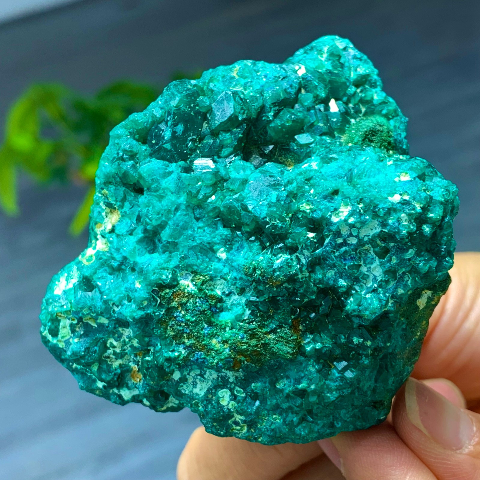 239G Natural green dioptase emerandine gemstone cluster mineral specimen