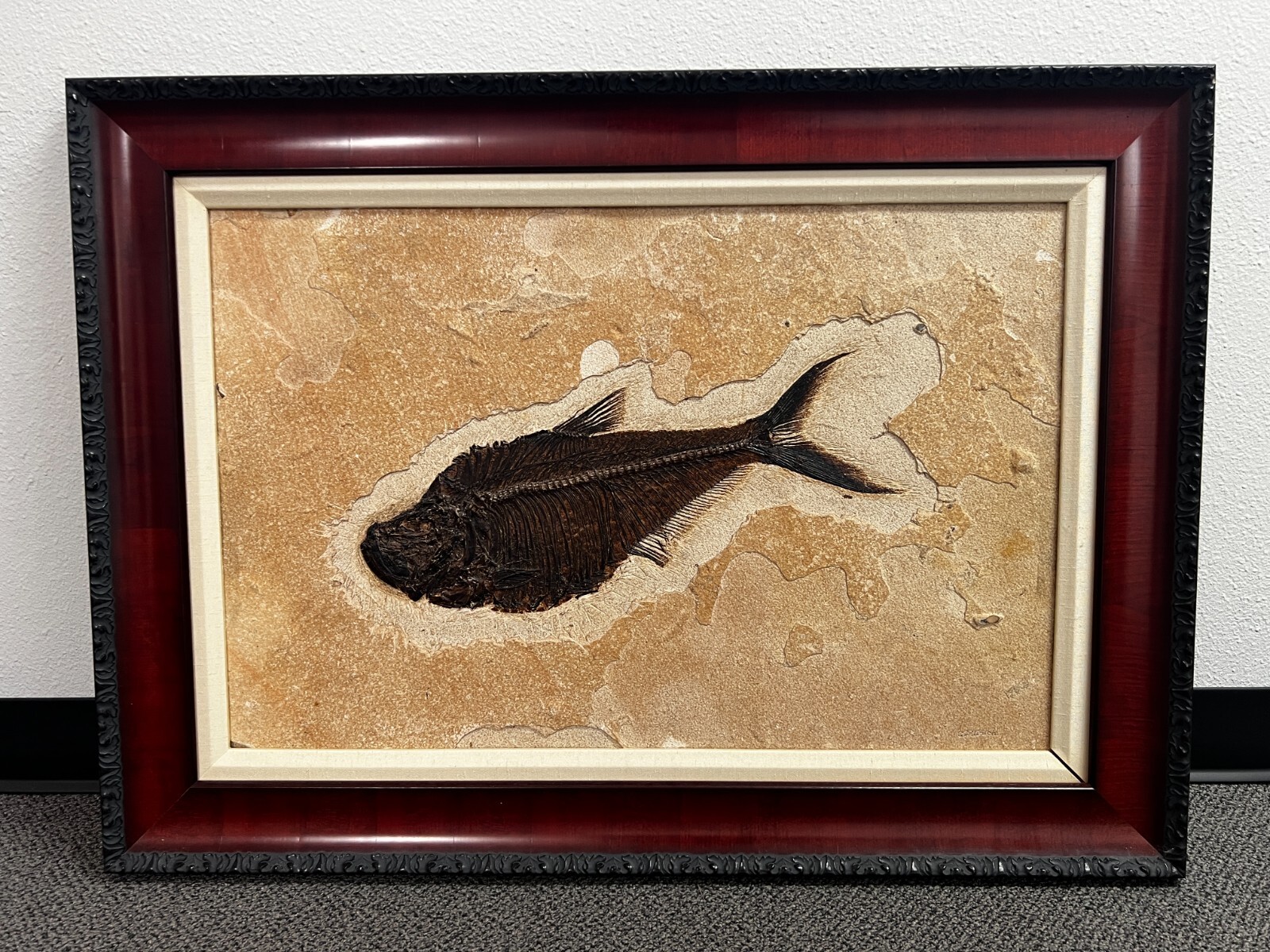 Fossil 