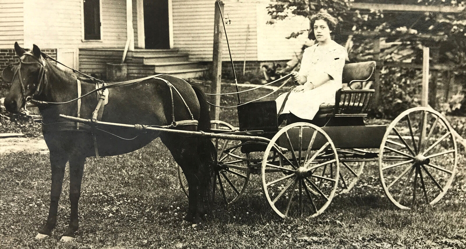 RPPC Horse Drawn Buggy Young Woman Id’d Bonnie English Fry West Liberty OH #223
