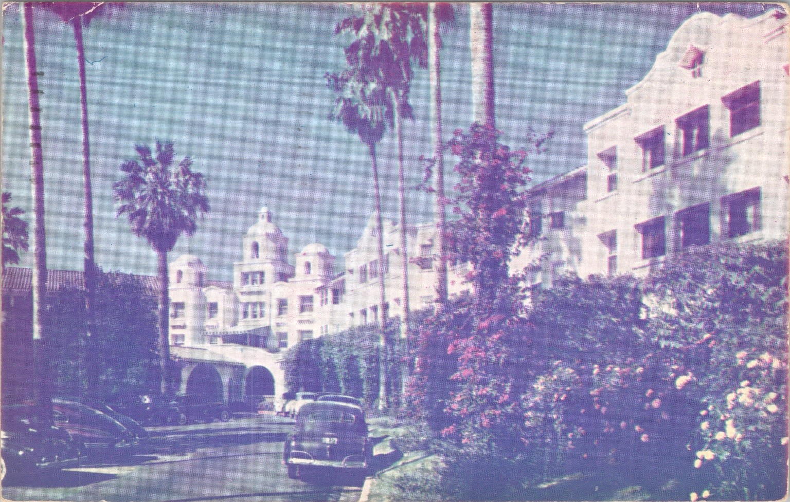 Beverly Hills Hotel Postcard 1951 Vintage Palm Lined Drive California K-Card