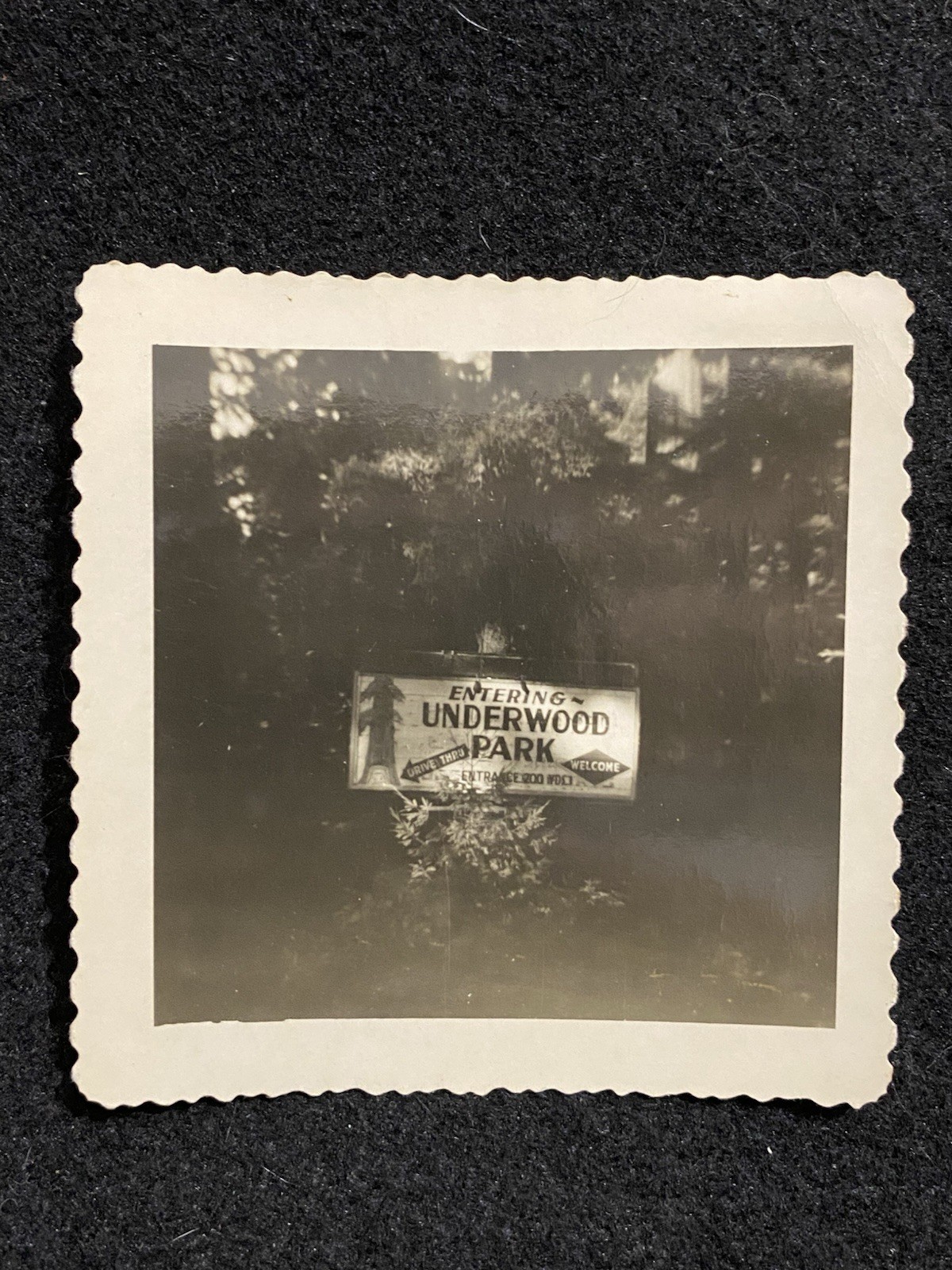 Leggett California CA Underwood Park Sign Mendocino Co. Antique Snapshot Photo