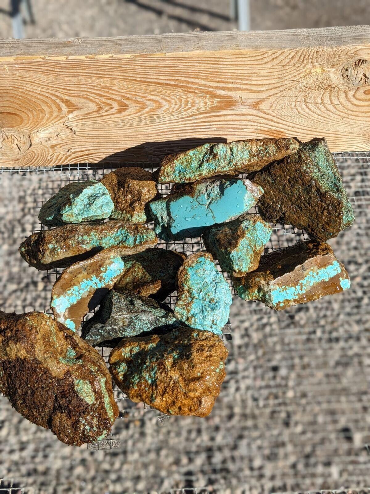 Number 8 Turquoise Stabilized One Pound  Updated 04-20-2024