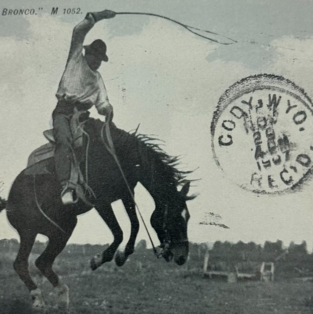 c1907 Postcard Cowboy Bucking Bronco Cody Wyoming Posted 1c Stamp Rodeo Country