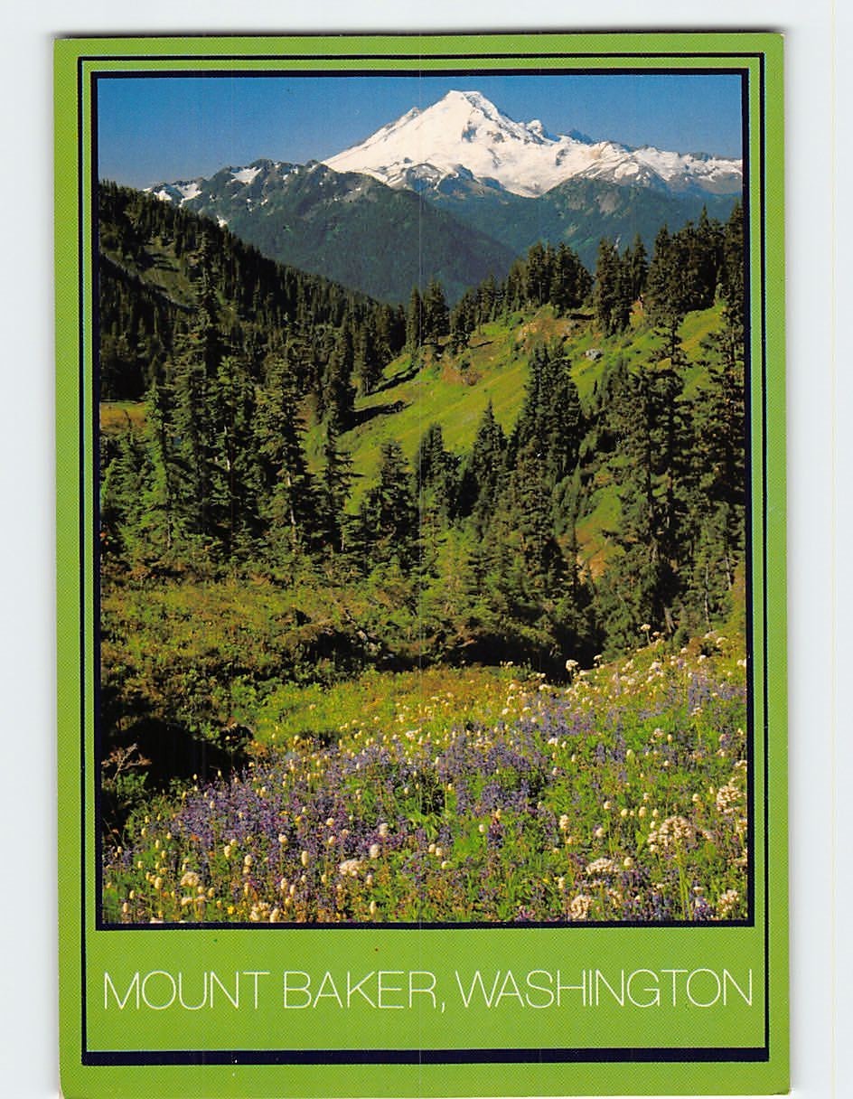 Postcard Mount Baker Washington USA