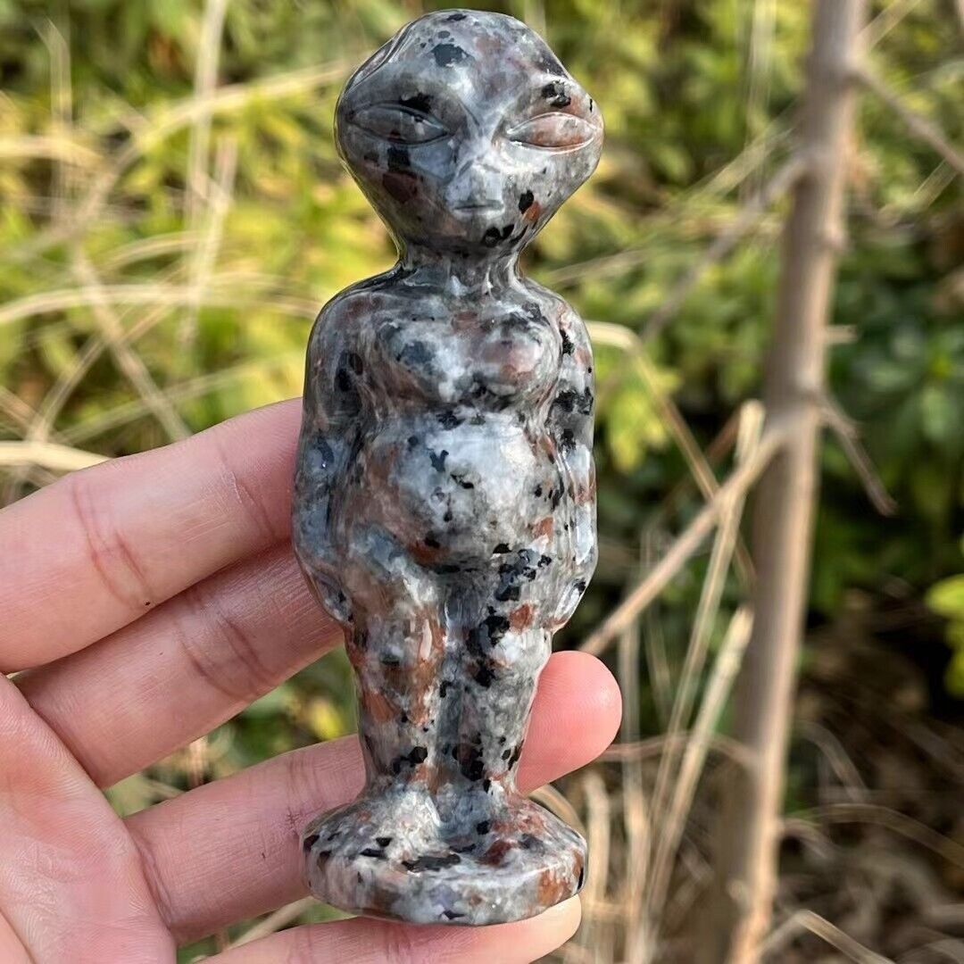 1pc Natural Yooperite Aliens Quartz Crystal Skull Carved Figurines Decor Healing