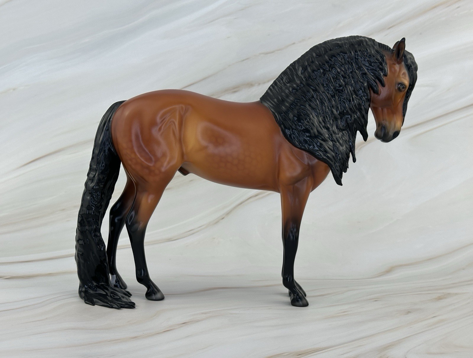 Peter Stone 2024 FCM DAH Andalusian, Extreme Long Mane and Puddle Tail, Satin