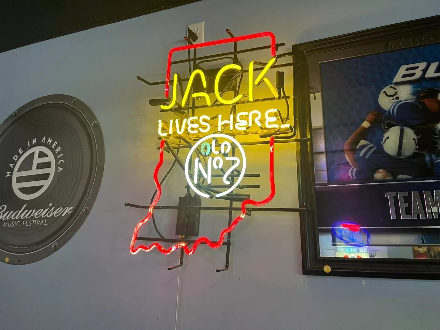 Indiana IN State Map Lives Here Neon Light Sign 24\