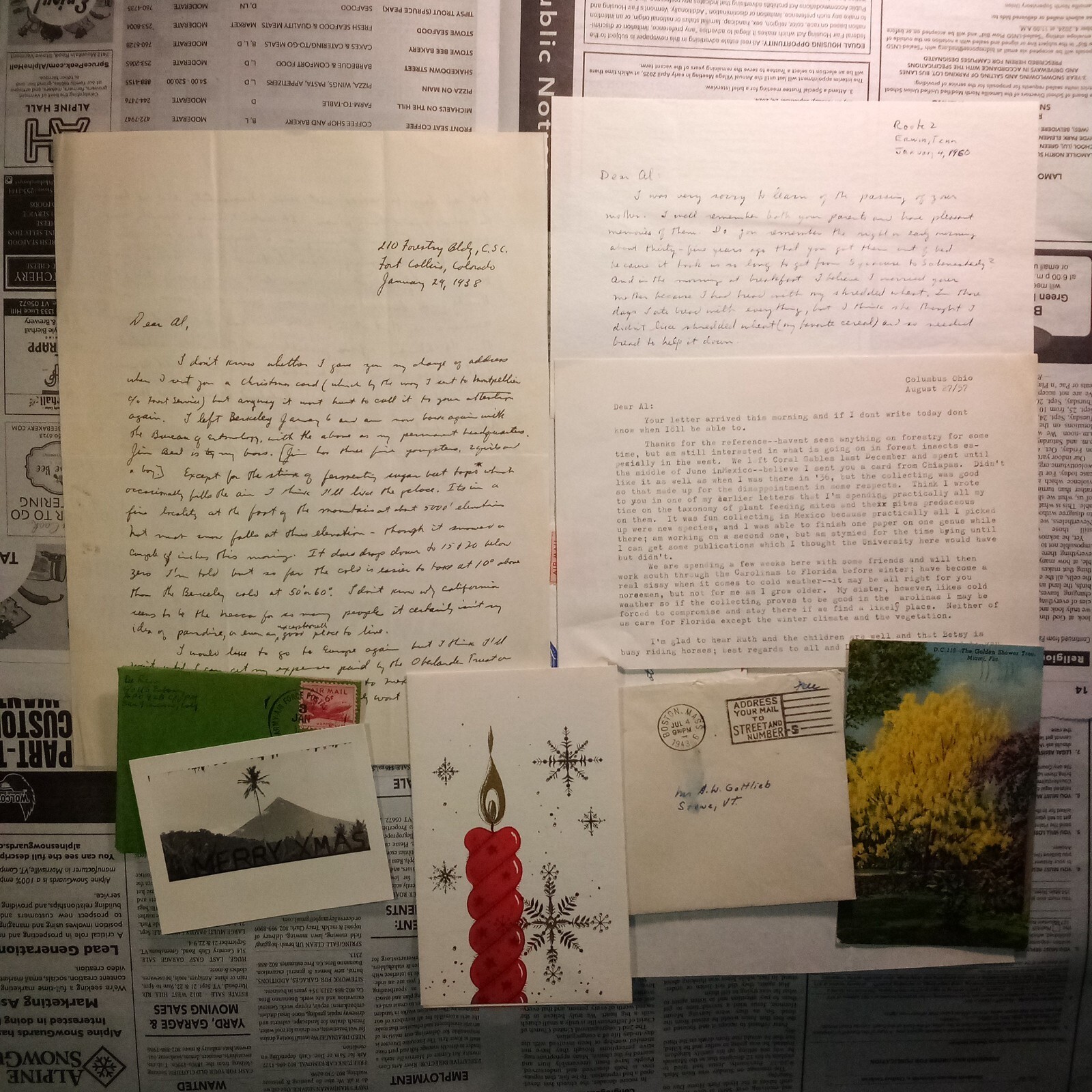 c. 1950s Donald De Leon Entomologist Collection