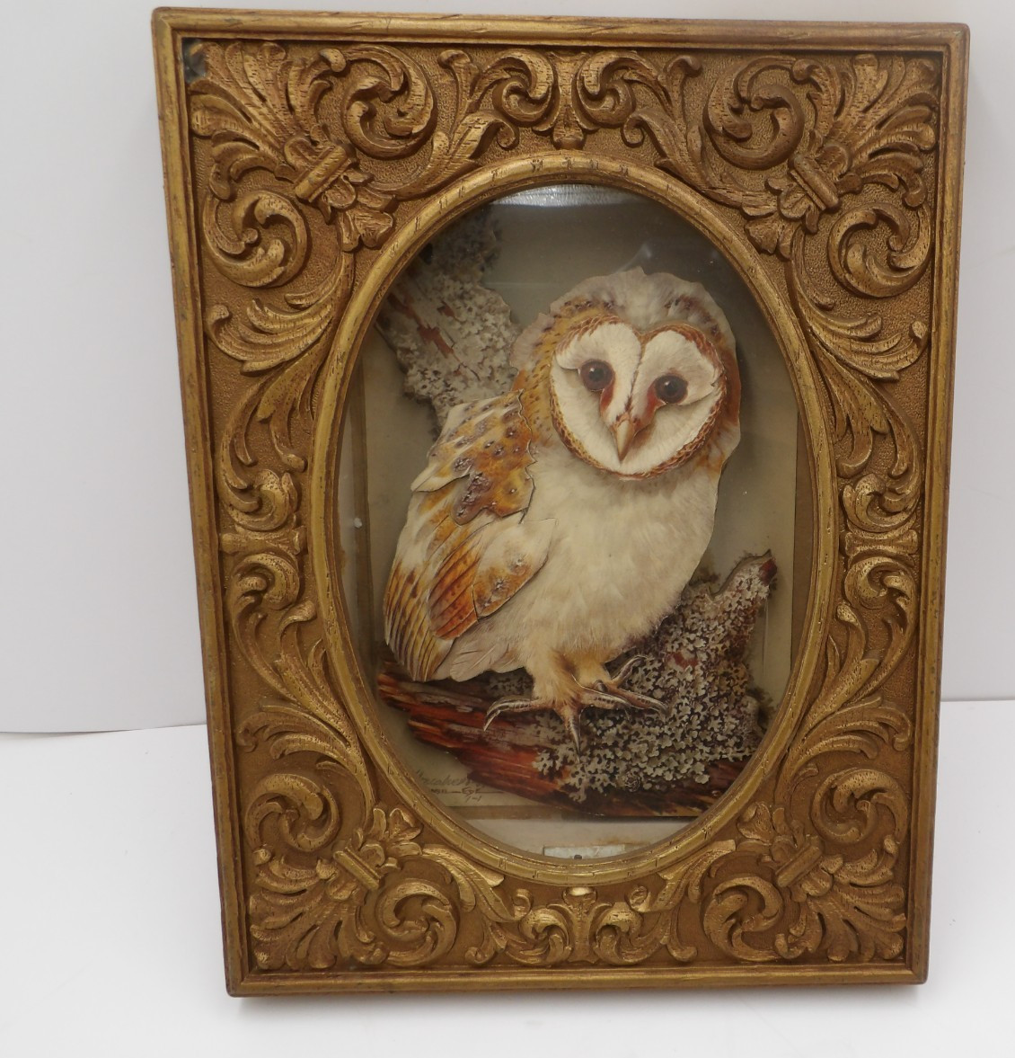 Vtg Barn Owl 3D Shadow Box Wall Art Ornate Gold Gilt Plastic Frame Diorama