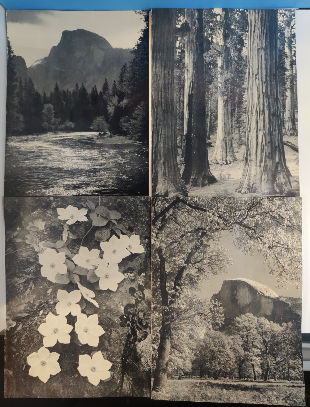 Vintage 1961-62 Ahwahnee Hotel Yosemite Dinner Menus Ansel Adams Half Dome x4