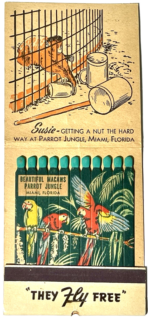RARE MIAMI, FL 1940'S- MACAWS, PARROT JUNGLE, GIANT RARE MIAMI, FL 1940'S- MACAWS, PARROT JUNGLE, GIANT