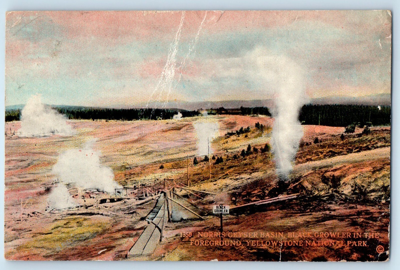 c1910 Yellowstone Montana Postcard Norris Geyser Basin Black Growler Foreground