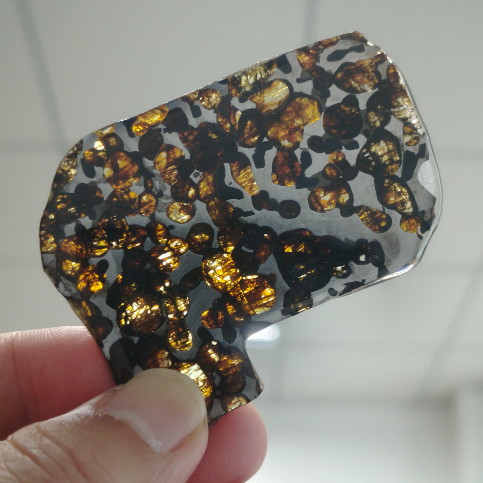 Top Natural Sericho Pallasite Meteorite Cut Slabs Perfect Glaze Seal Display