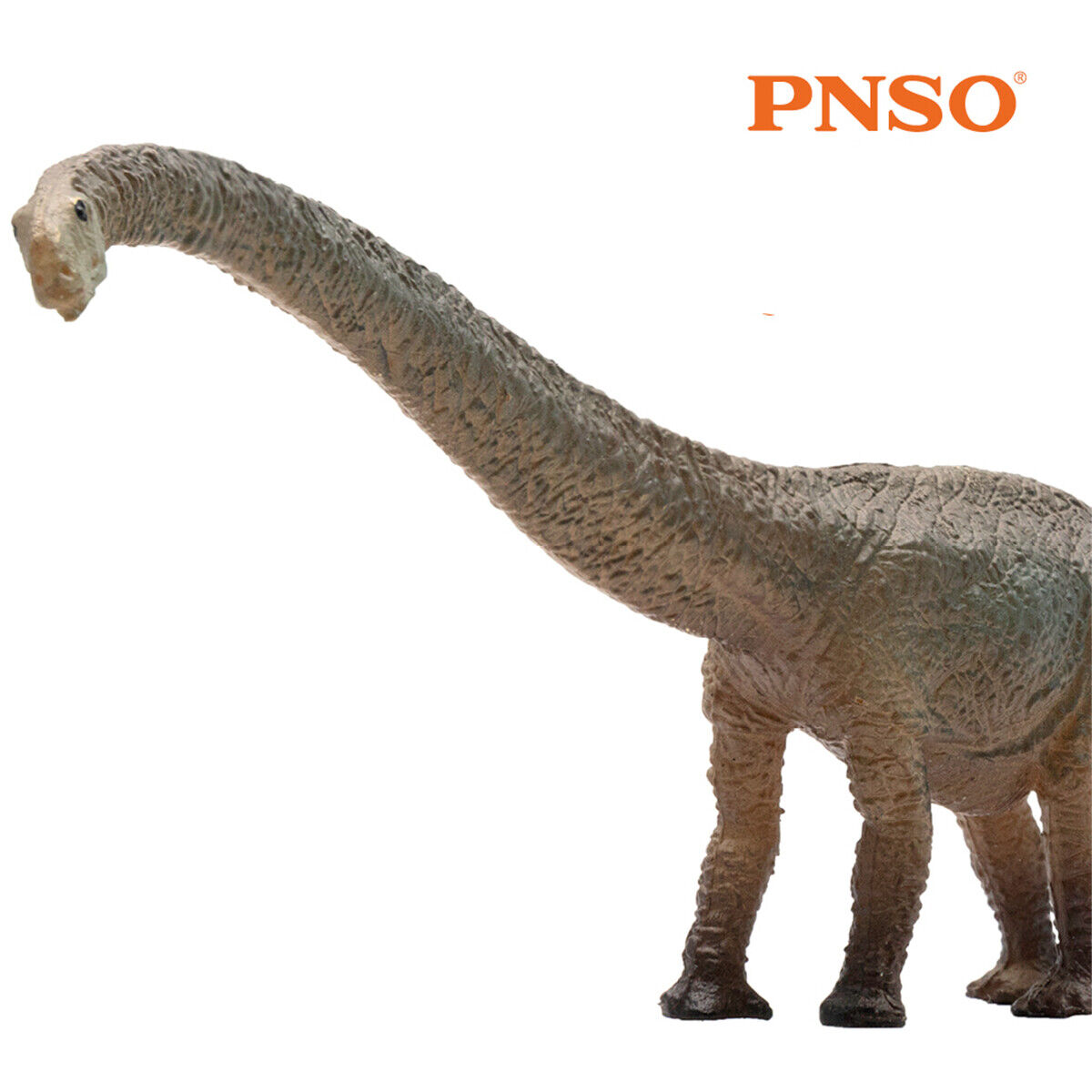 PNSO Mamenchisaurus Model Dinosaur Animal Figure Collection Decor Kids Toy Gift