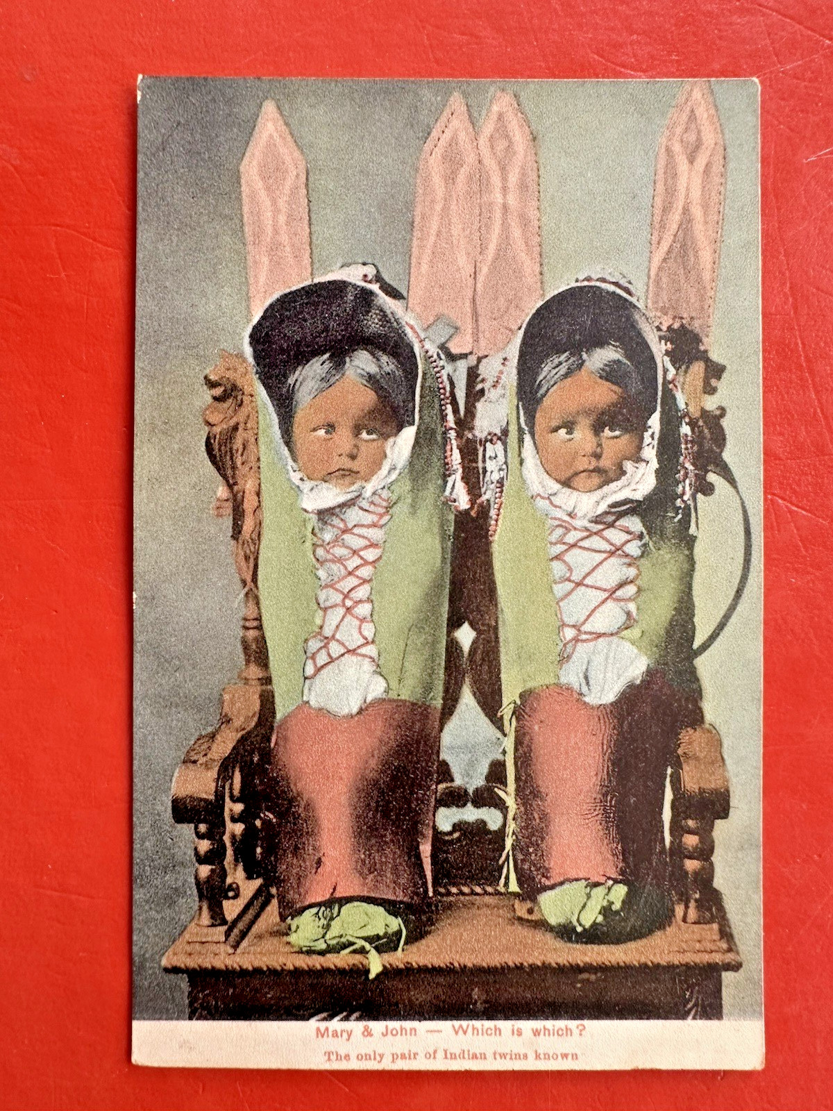 Antique Unused Postcard~ TWIN BABY INDIGENOUS NATIVE AMERICAN CHILDREN