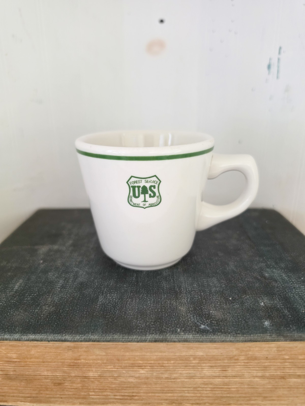 Vintage U.S. Forest Service Dept. of Agriculture Buffalo China Coffee Cup
