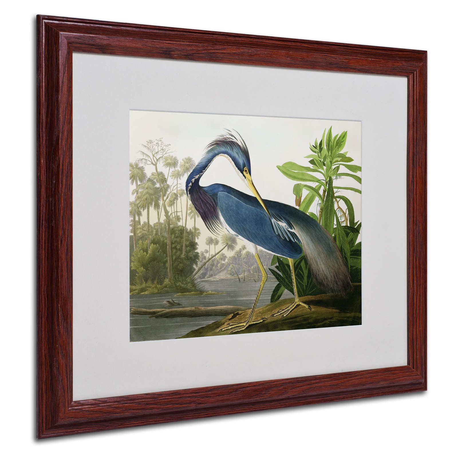 Trademark Fine Art John James Audubon Louisiana Heron Framed Wall Art Trademark Fine Art John James Audubon Louisiana Heron Framed Wall Art