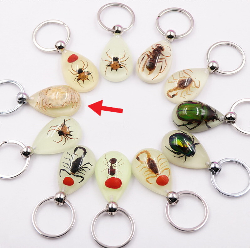 Luminous Real Insect Bug Beetle Glowing Keychain Glow in Dark Tear Drop Shape