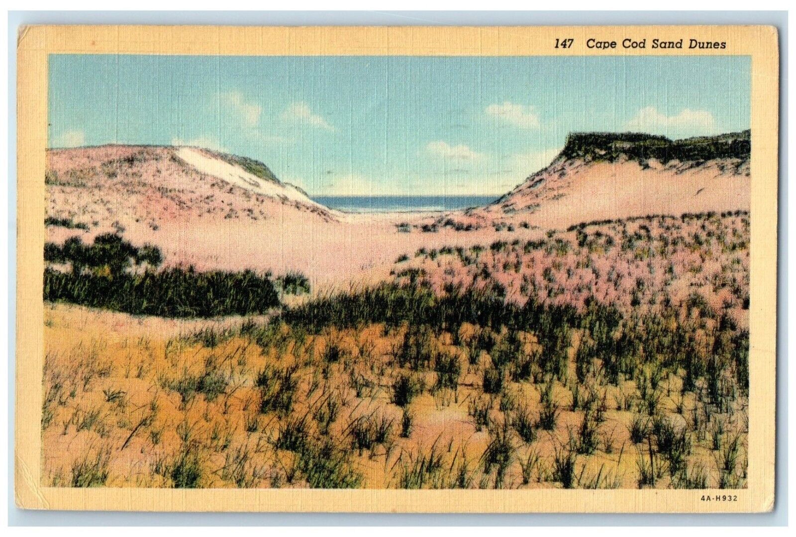 1943 Cape Cod Sand Dunes Picturesque Fierce Gales Massachusetts Vintage Postcard