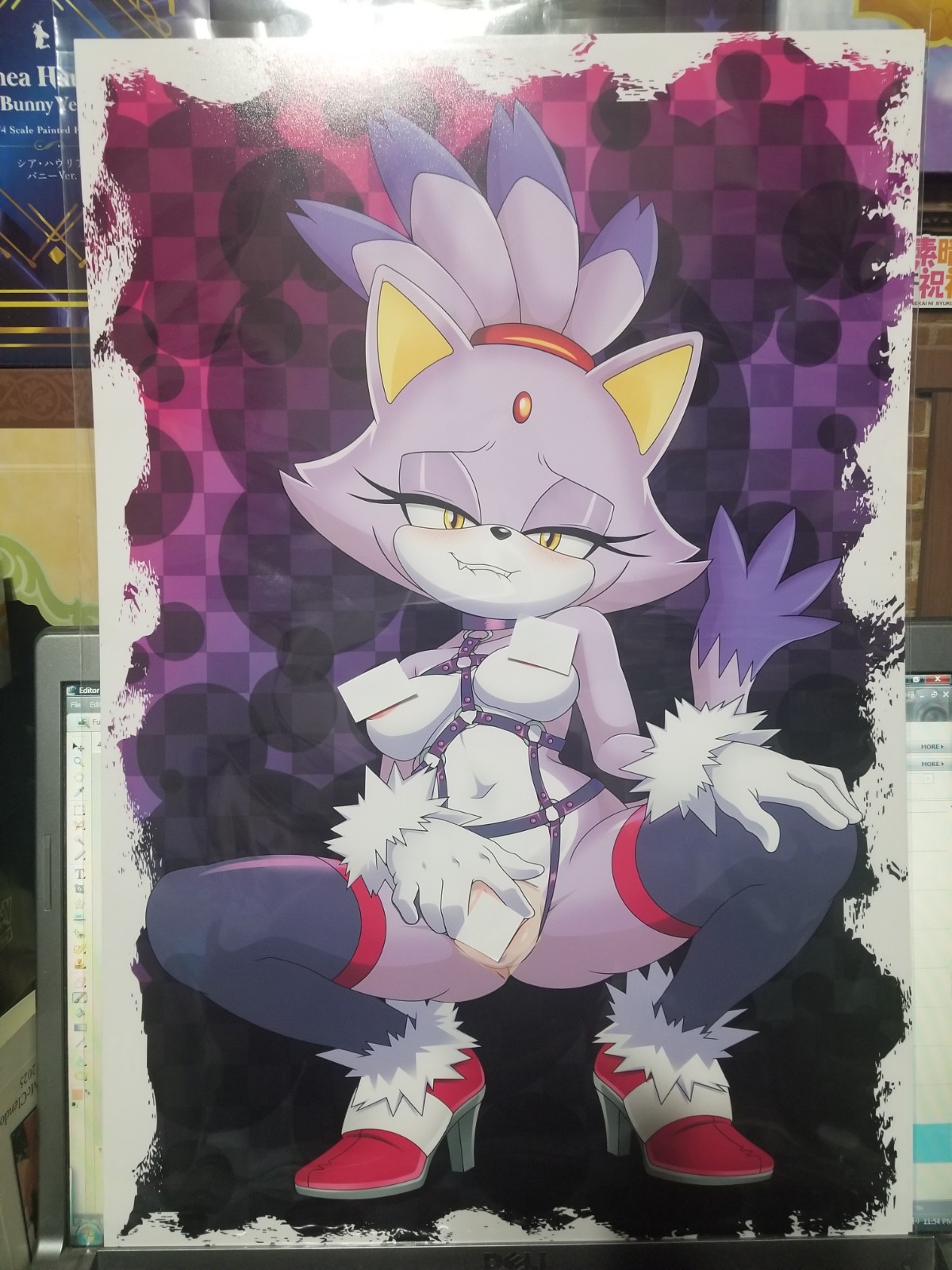 Sonic the hedgehog sexy toplist blaze the cat 13 / 19 poster