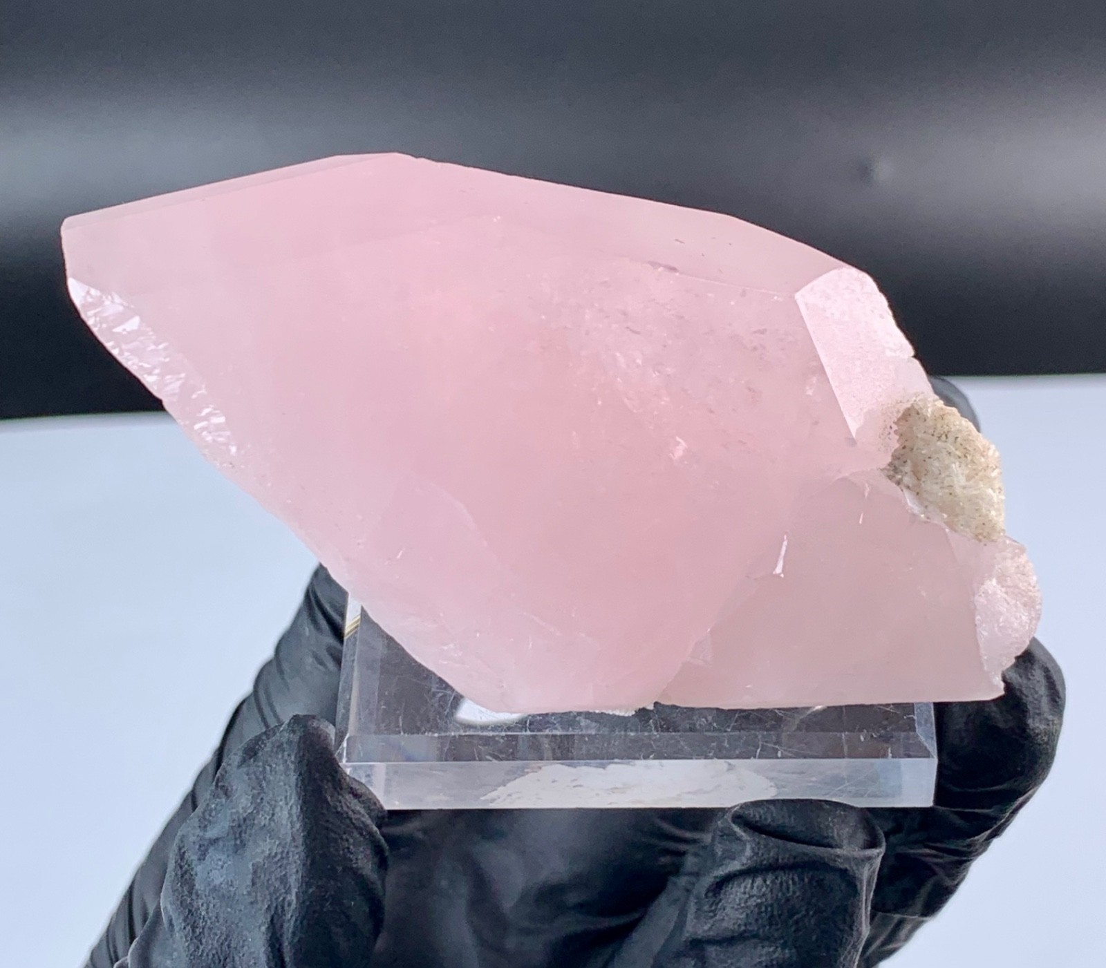 131 Gram Aesthetic Terminated Pink Morganite Crystal From Afghanistan.