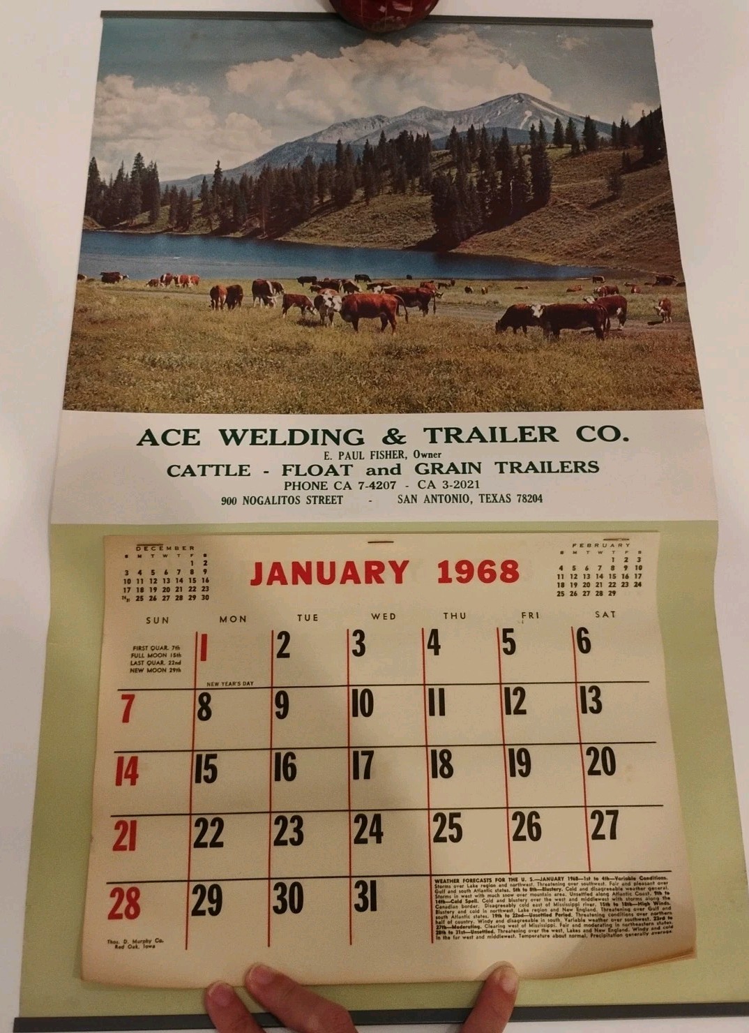 Vtg NOS 1968 Paper Wall Calendar 21x13- Scenic Cowboy Western Cattle