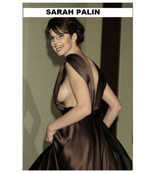 971 - Sarah Palin Party Girl Refrigerator Magnet - Nice Size