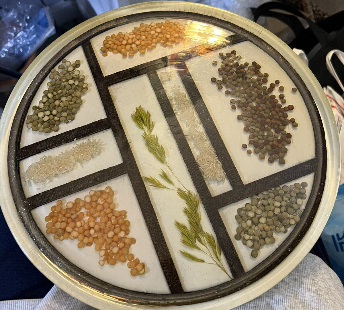 MCM Large Acylic Lucite Seeds And Rice w/ Dried Leaves Lazy Susan 1970s Vintage