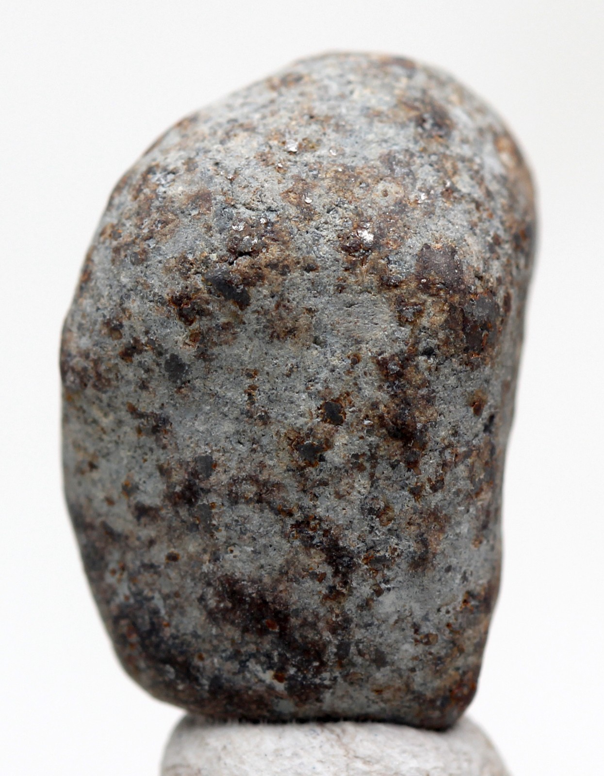 NWA 515 Tumbled Chondrite Meteorite Individual Specimen Stony Space Rock AFRICA
