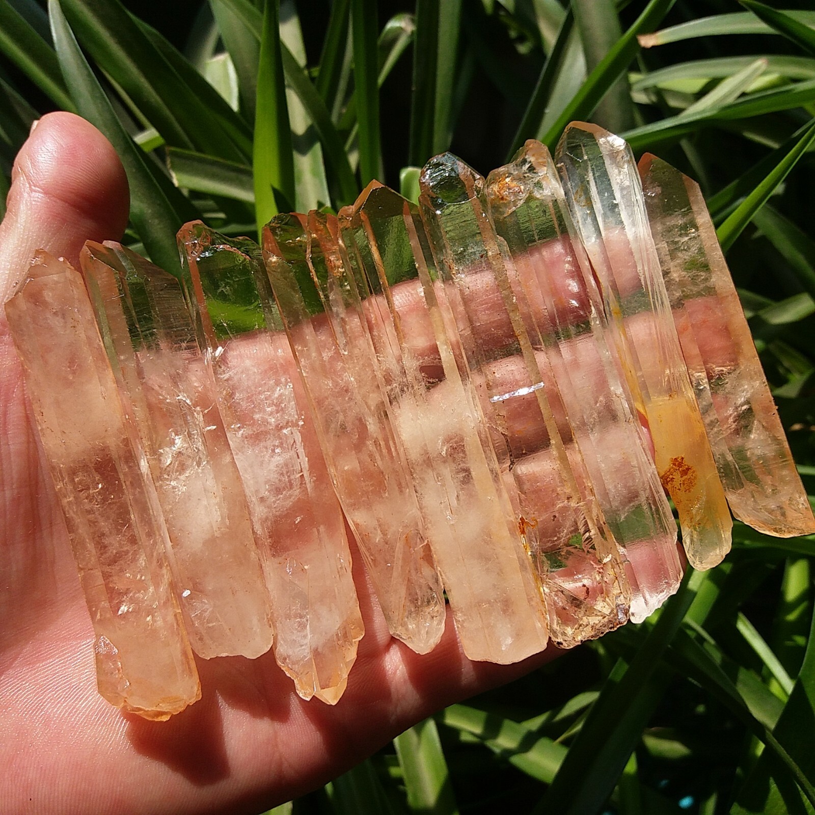 263g 9pcs Natural Crystal Quartz Single Point wand Rough Original Specimens D98