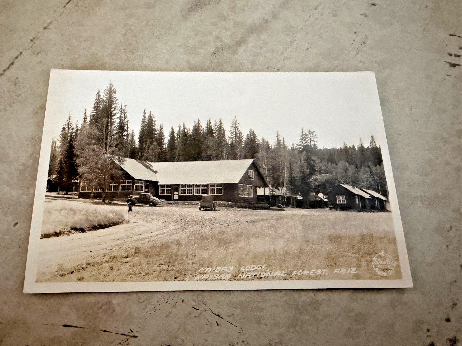 Kaibab Lodge Kaibab National Forest Arizona Real Photo Postcard Unposted