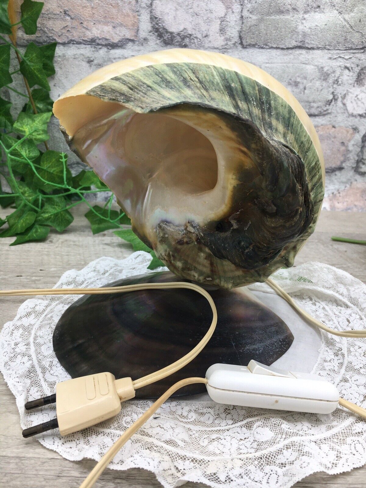  Turbo Marmoratus Green Shell Lamp with Mother of Pearl