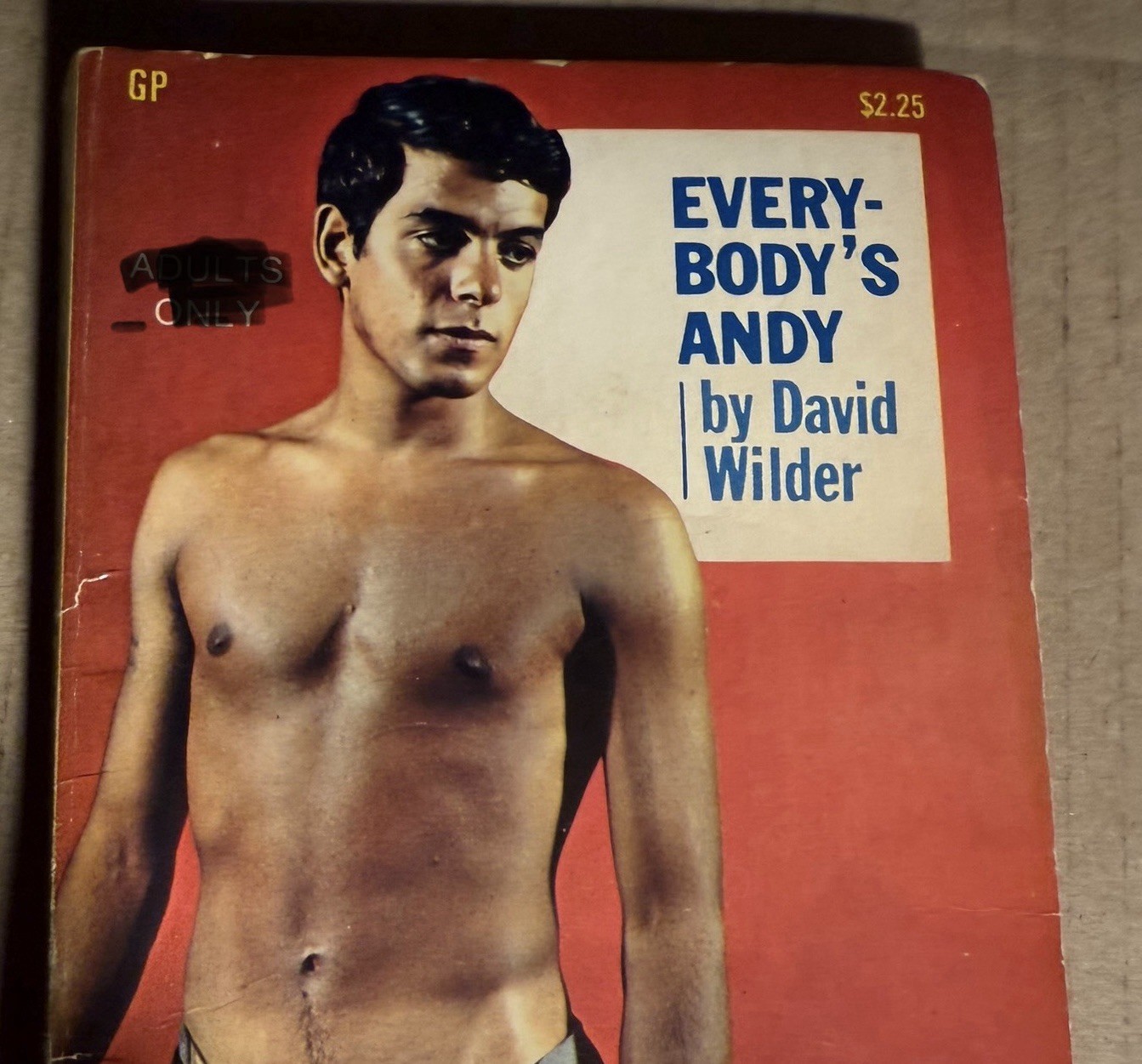 EVERYBODY’S ANDY -1971 DAVID WILDER PARISIAN PRESS VTG PULP NOVEL GAY INTEREST