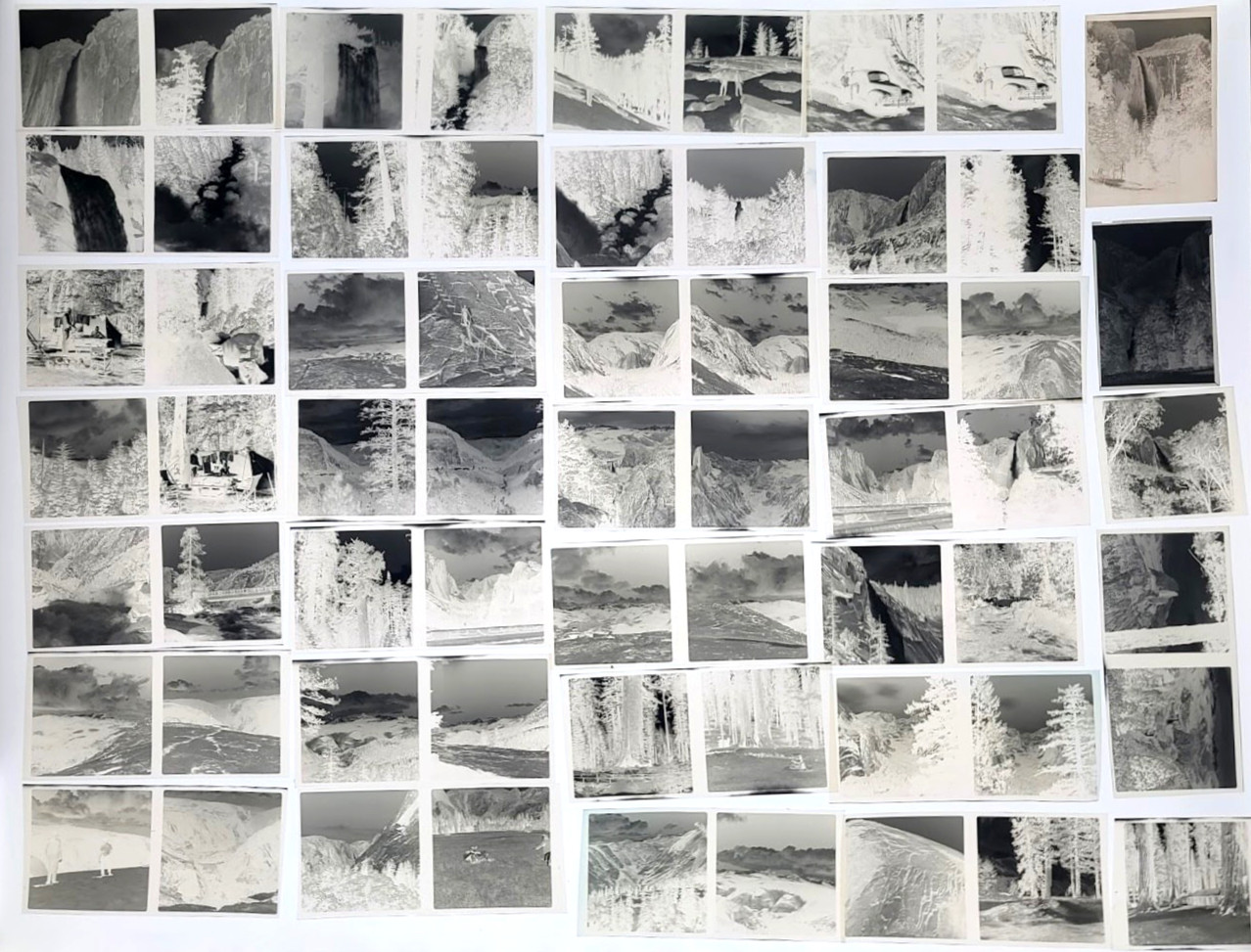 Vtg 1940s Yosemite Valley CA Photo Negatives Images Camping Scenic WW2 Era RARE