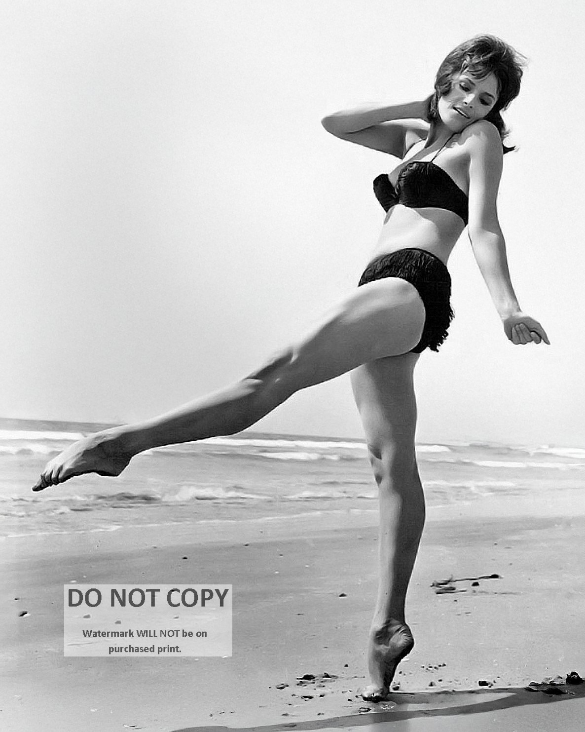 BARRIE CHASE ACTRESS AND DANCER PIN UP - 8X10 PUBLICITY PHOTO (DD-013)
