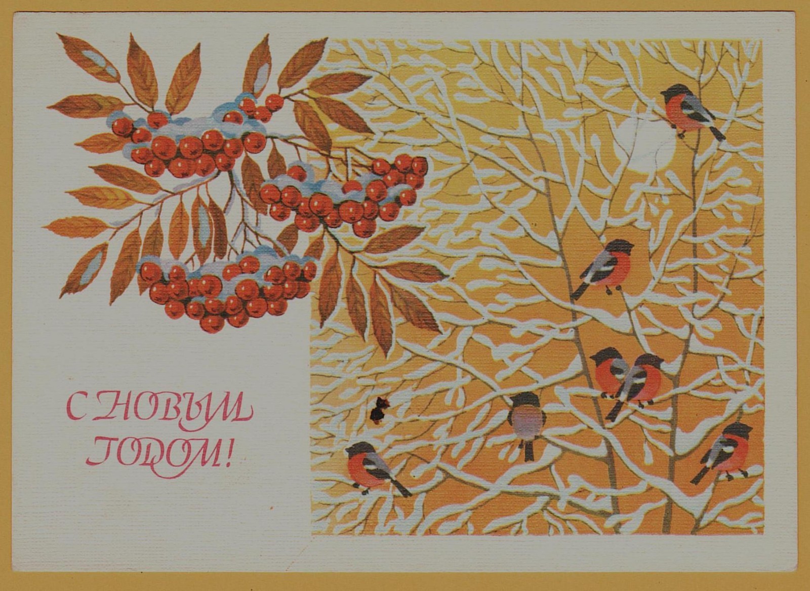 1988 Bullfinch Birds Rowan Berries Christmas Happy New Year ART USSR Postcard