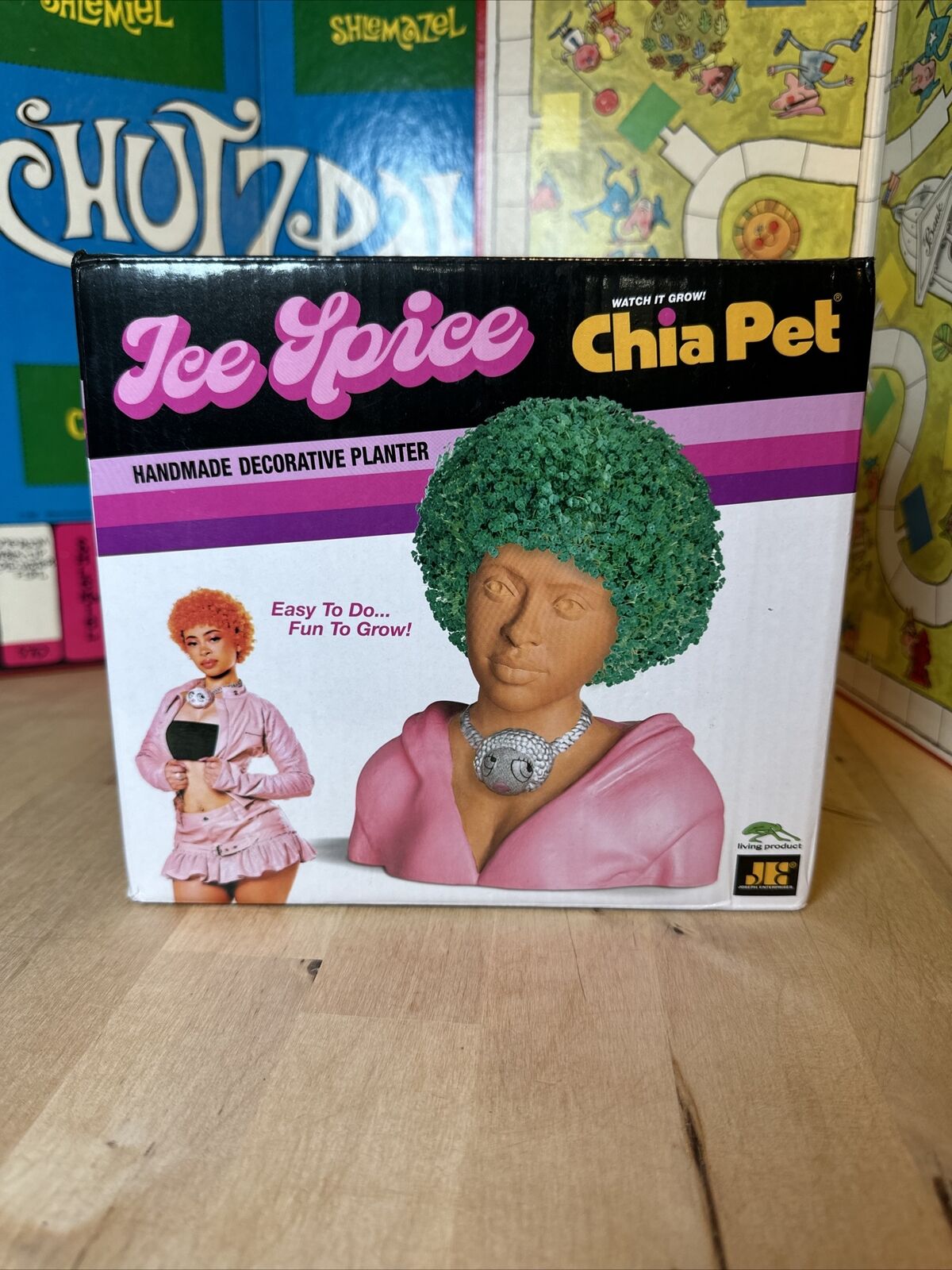 Ice Spice Chia Pet - New Release 2023 - New in Opened Box Decorative Planter