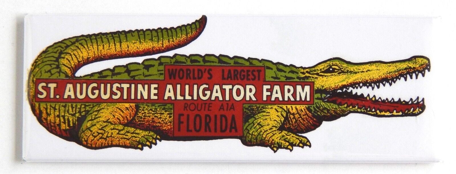 St. Augustine Alligator Farm FRIDGE MAGNET (1.5 x 4.5 inches) florida sign