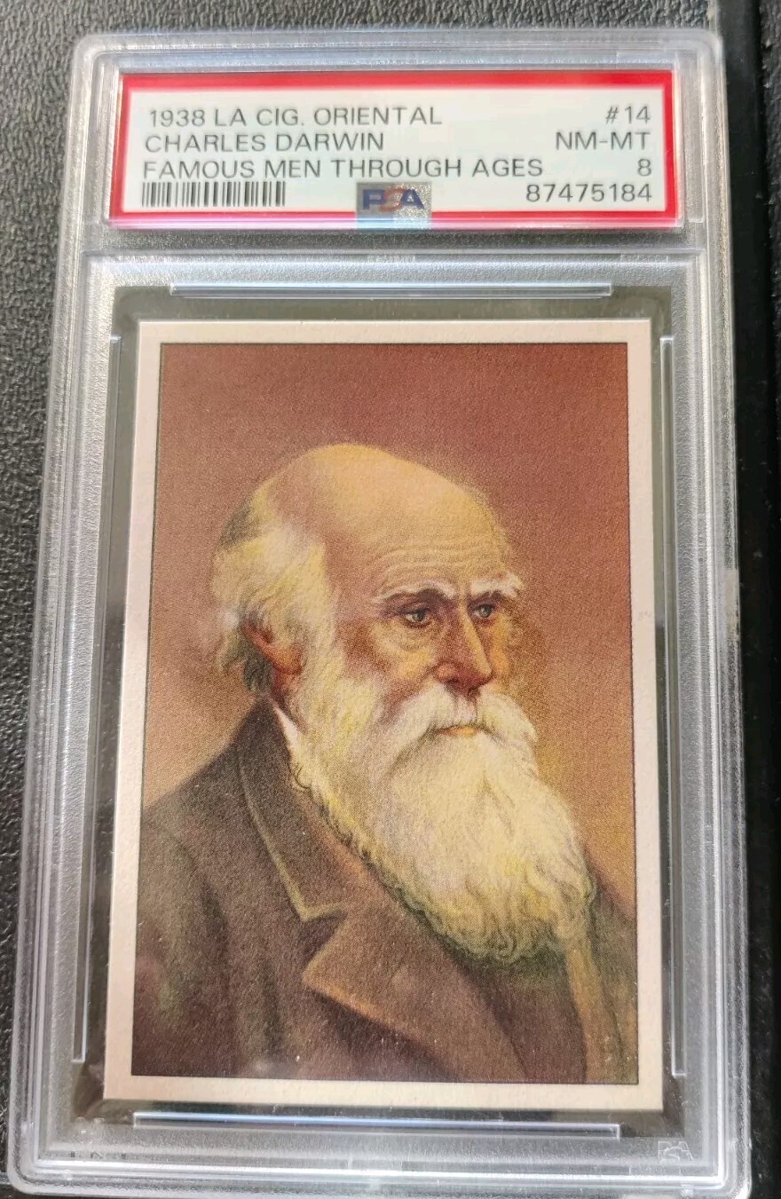 1938 La Cig. Oriental Famous Men Charles Darwin #14 PSA 8 Pop 2 One Higher 1938 La Cig. Oriental Famous Men Charles Darwin #14 PSA 8 Pop 2 One Higher