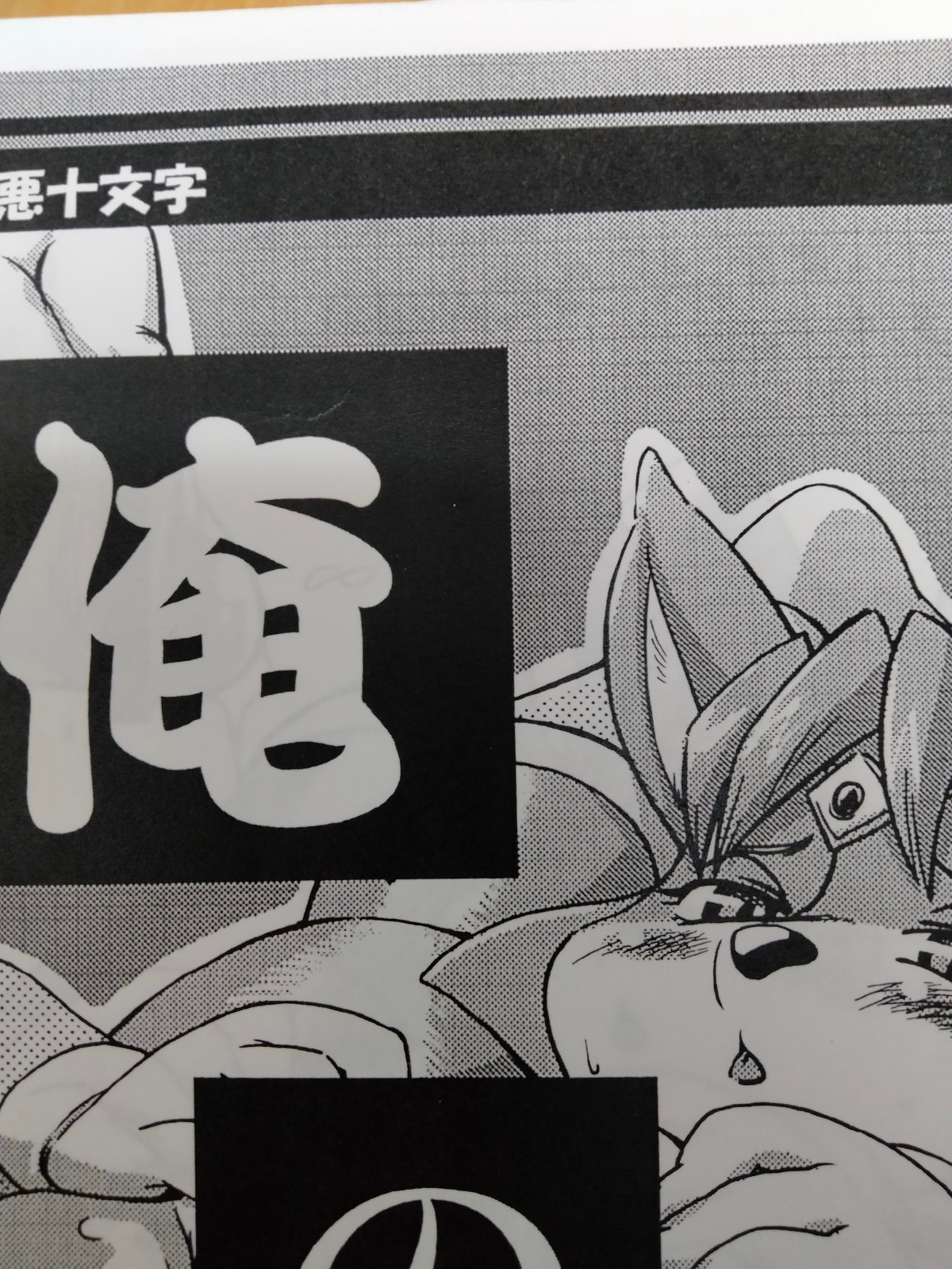 Kemono Handmade Doujinshi Sonic Animal etc. (B5 30pages) ore no natsu 2008 tojyo