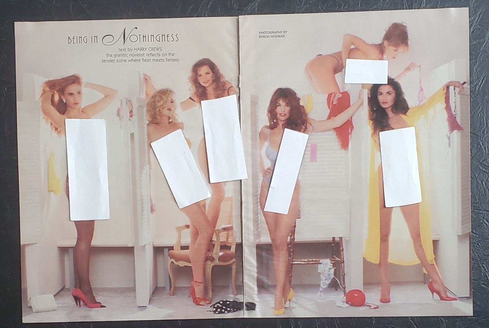 Playboy PICTORIAL ONLY - BEAUTIES IN LINGERIE      February, 1993    10 Pages