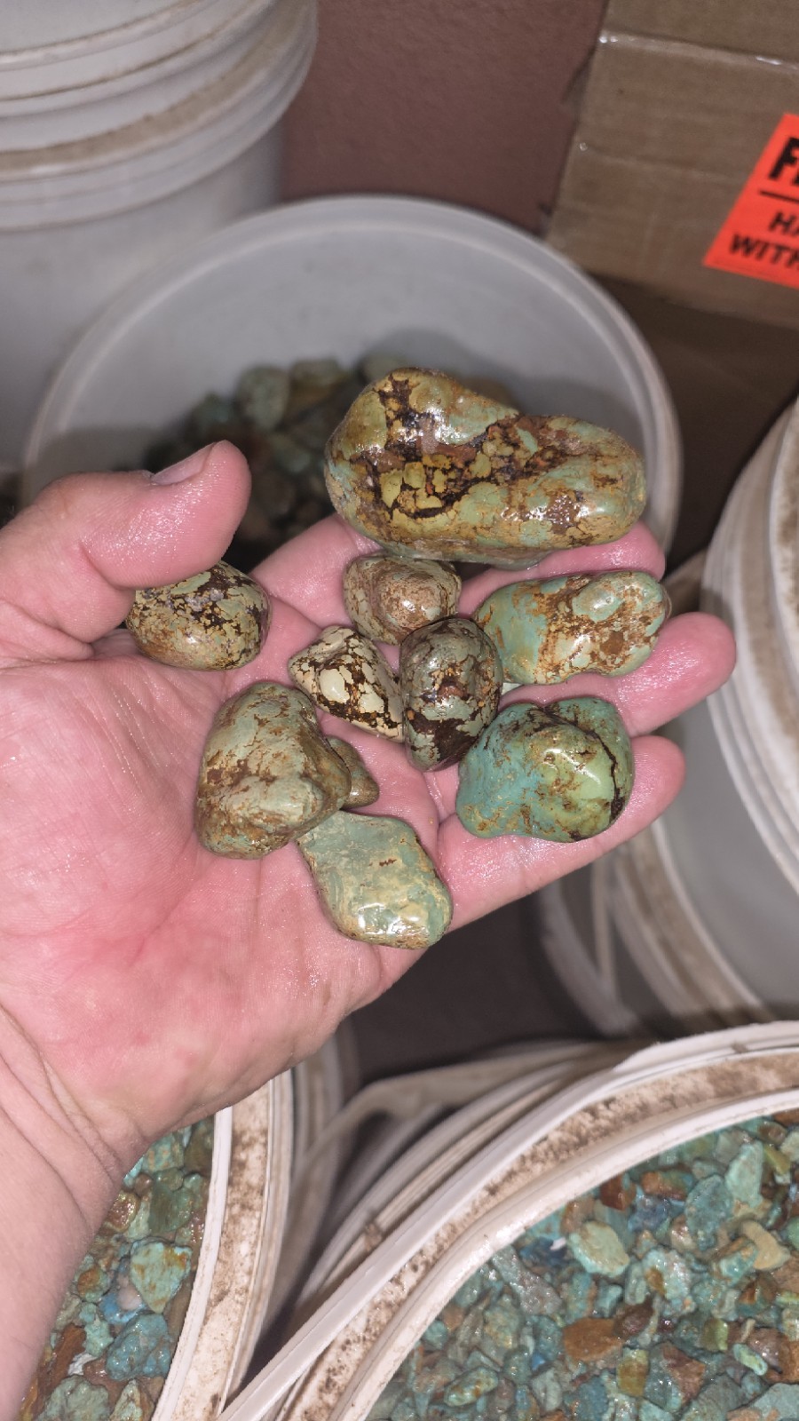 tumbled green turquoise with brown matrix  (By The Pound) 1/2\