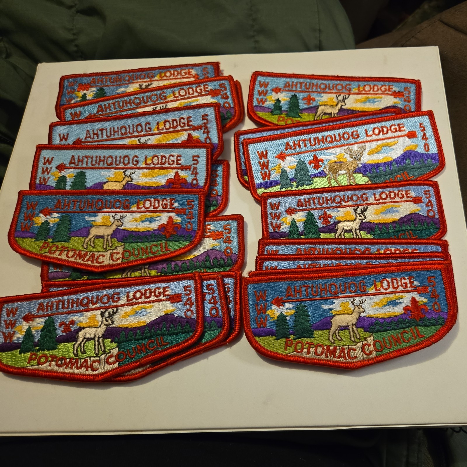 Ahtuhquog Lodge 540 of 20 Flaps Various Lot of **10 Color Flaps** 