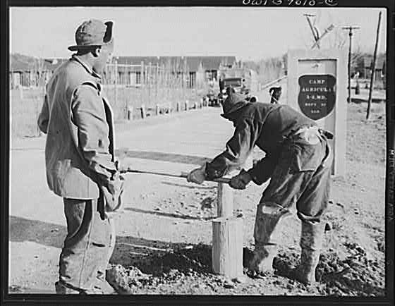 Photo:Camp Lockett CA 1940s Youth Lot Workers Barrier Road Construction