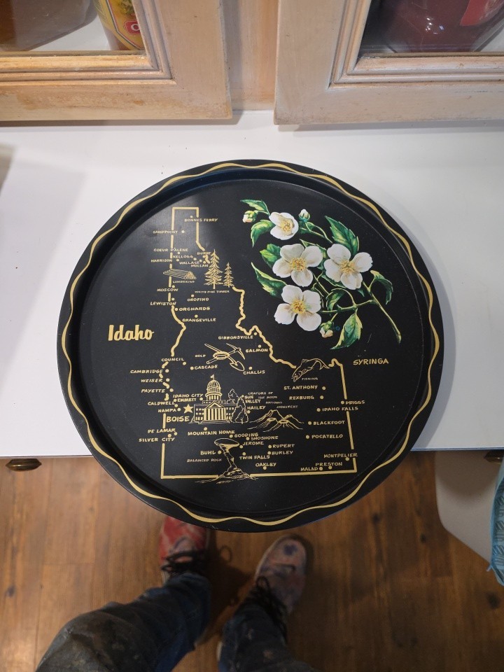 Vintage 1960s Idaho Souvenir Plate Metal Tray Wall Decor Syringa State Flower