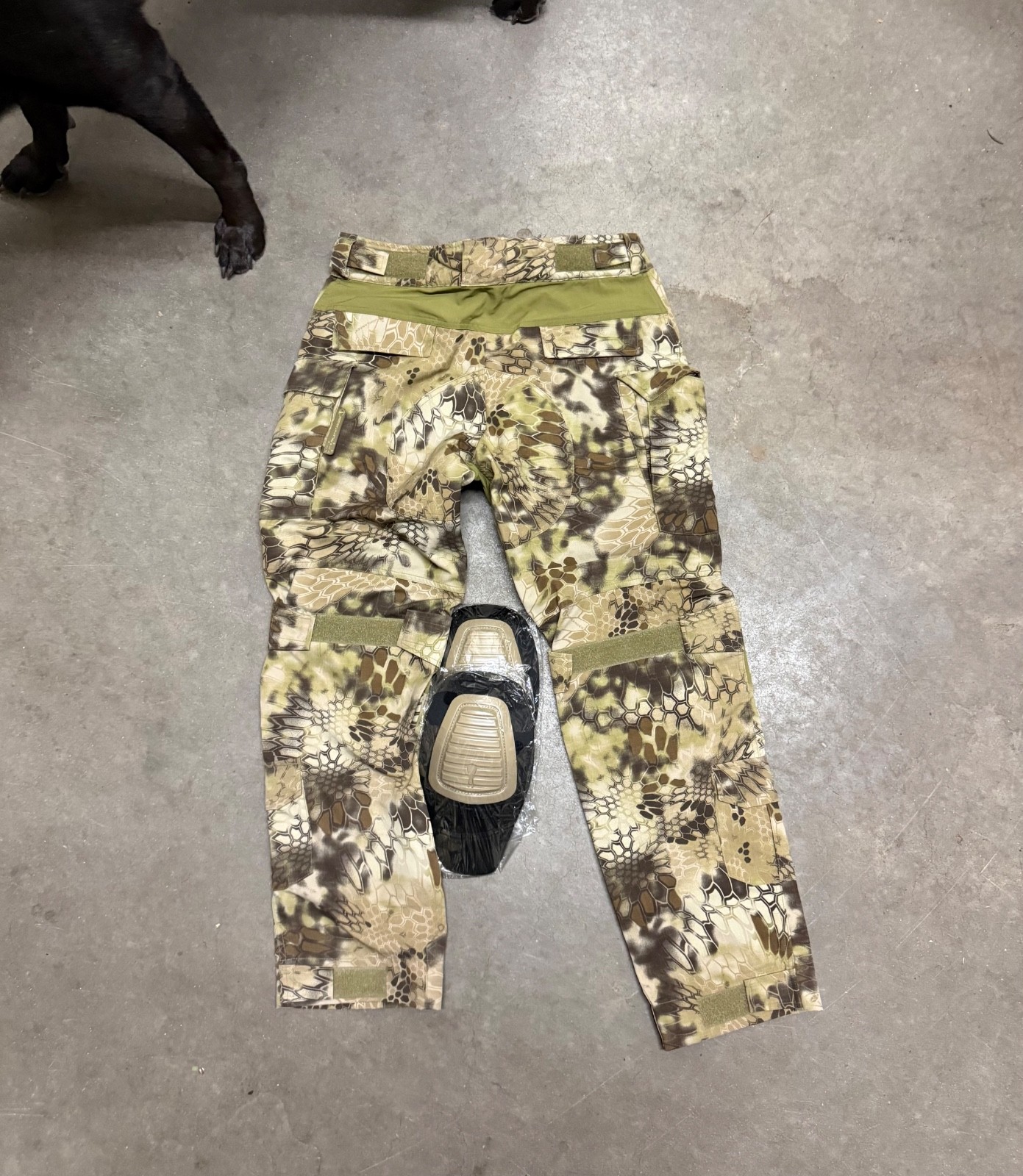 Platatac Tac Dax Mk II Special Projects Kryptek Highlander Size LR - w/Knee Pads