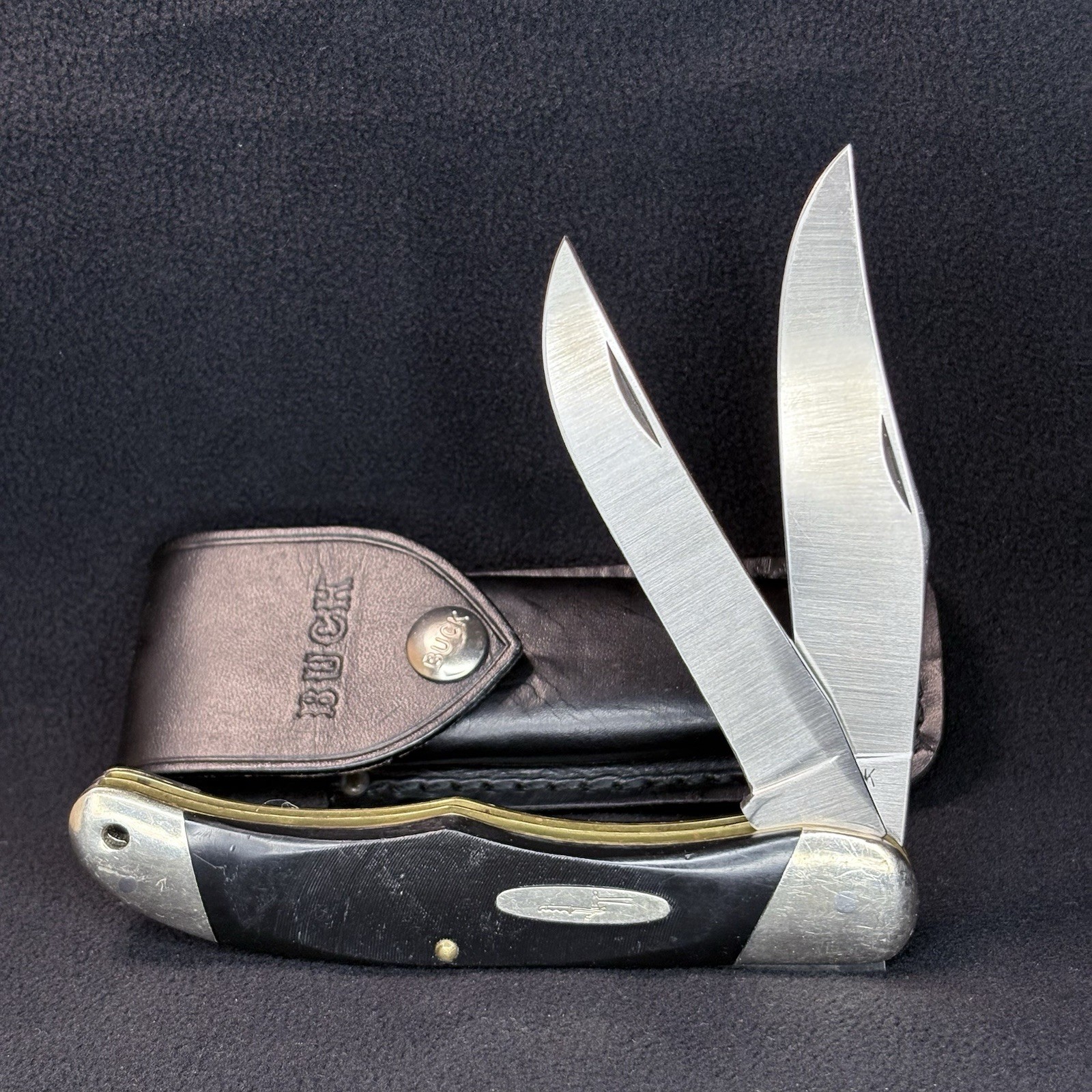 Vintage Buck 317 Trailblazer 2-Blade Folding Hunter Pocket Knife Sheath EXC