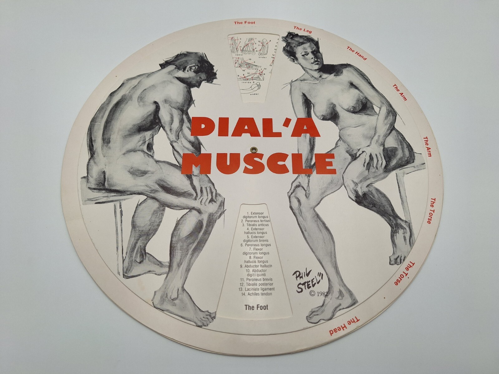 Vintage 1982 Phil Steele Double Sided Spinning DAIL 'A MUSCLE & BONE 12.5x12.5