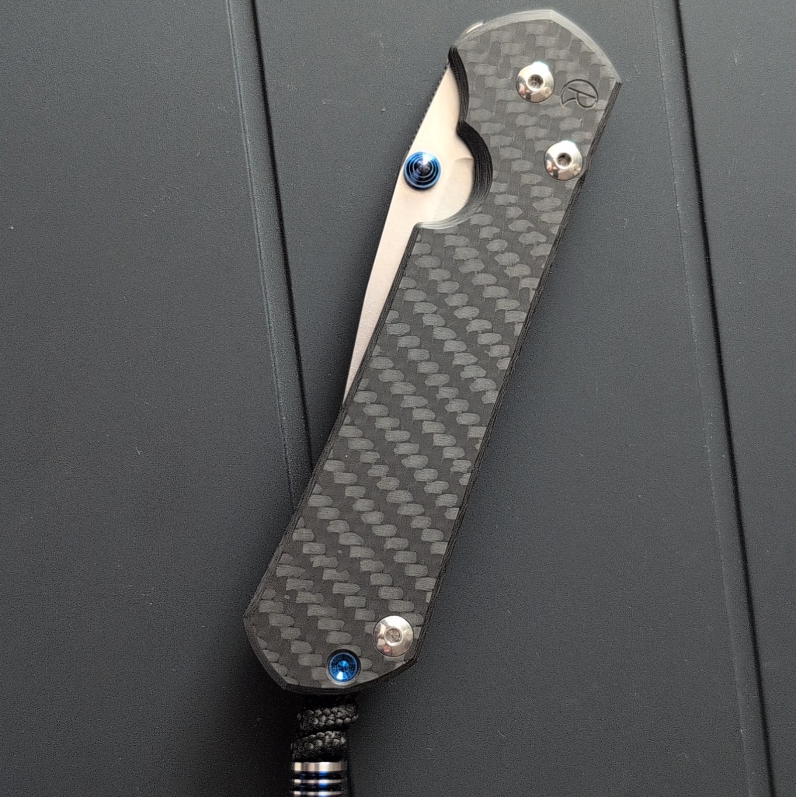 Chris Reeve Large Sebenza Carbon Fiber Knife Art Exclusive